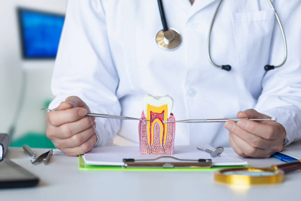 Best Dentist for Tooth Abscess  in Kellogg, ID